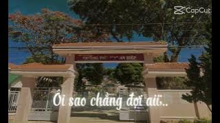 lá bàng rơi khắp sân trường 🏫🏫| @withoanh7921