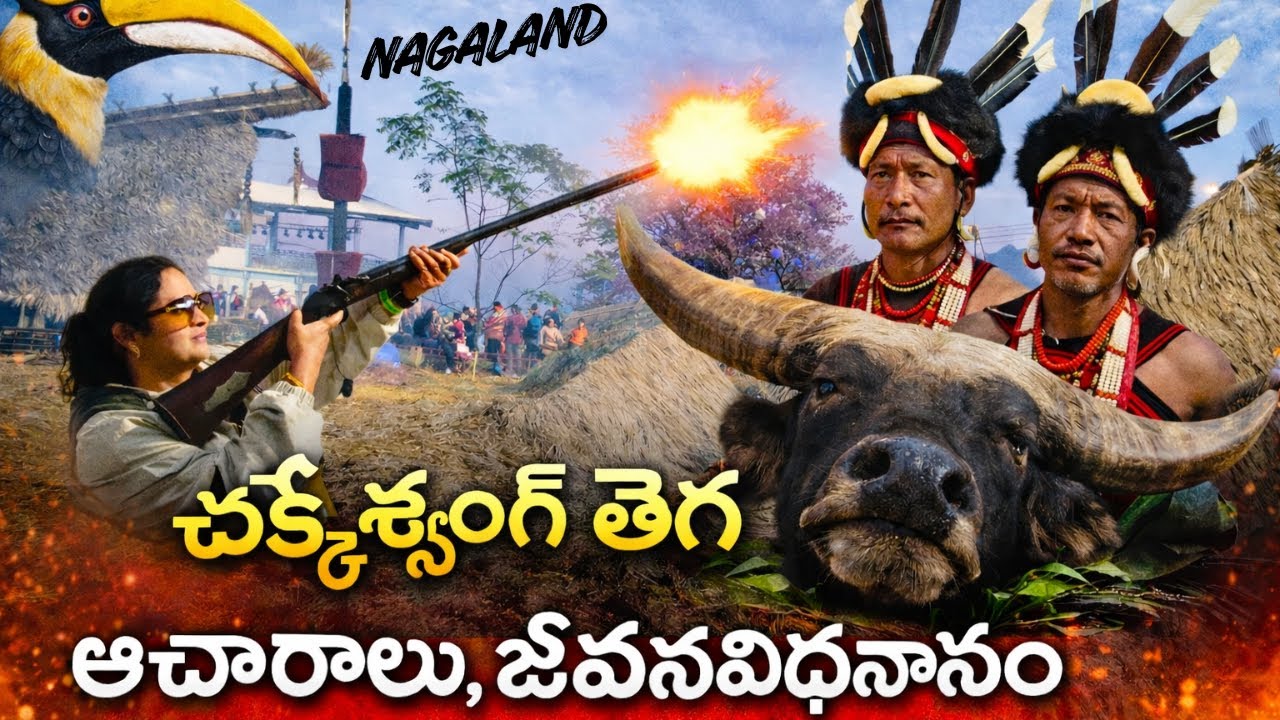 ఛాఖేసాంగ్ గిరిజన తెగల జీవనవిధానం & ఆచారాలు వ్యవహారాలు - CHAKHESANG TRIBAL LIFE STYLE -NAGALAND