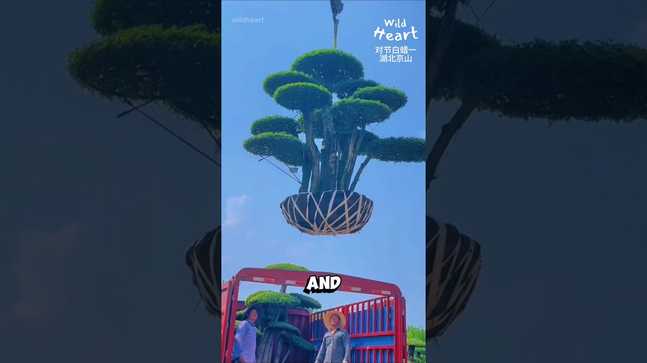 Гигантские движущиеся топиарные деревья