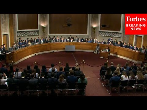The Senate Judiciary
