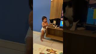Baby Tries to Bite Cat But Gets Bitten Instead