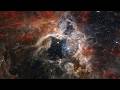 The Tarantula Nebula: A Closer Look at a Nearby Star Factory