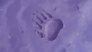 Brother Bears - No Way Out Slovakfullhd5.1 Dolby