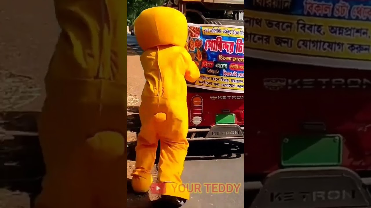 teddy bear backchodi 