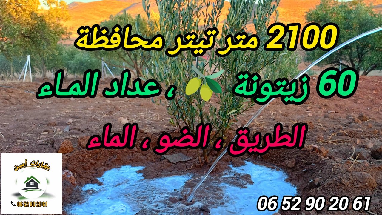 ⛔✅تم البيع⛔✅أرض محافظة ، 60 زيتونة 🫒 طريق كودرون ، عداد الماء ، السياج ، ب14 مليون ونصف . 0652902061
