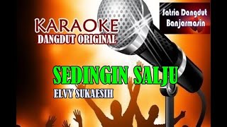 Sedingin Salju  Elvy Sukaesih karaoke