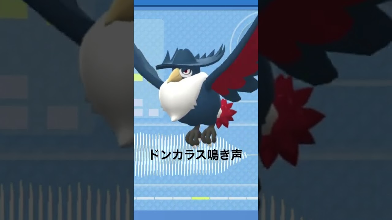 sp シンオウ図鑑no075 ドンカラス鳴き声 ポケモン鳴き声 図鑑コンプ ブリリアントダイヤモンド シャイニングパール ポケモン生態 第四世代鳴き声 Haunter Youtube