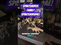 Spinosaurus Family Spinosauridae | Narrated Dinosaur Profile | Dinosaur Models | Baryonyx Suchomimus