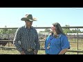 Bullfighter - Joe Butler | Sheridan County Ag Update