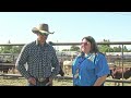 Bullfighter - Joe Butler | Sheridan County Ag Update