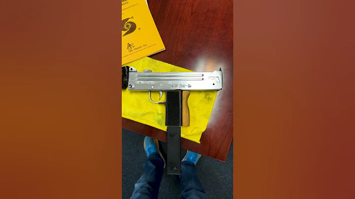 Bizarre Cobray Mac 11 M11 Florida Commemorative 9mm