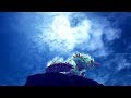 【MHWI】月に吠えるジンオウガの貴重な生態映像