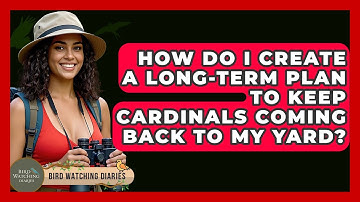 How Do I Create A Long-term Plan To Keep Cardinals Coming Back To My Yard? - Bird Watching Diaries