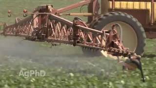 Soybean Aphids #950 (Air Date 6-19-16)