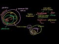 Расчёт уровня безработицы. Вариант 2 (видео 30) | Финансовый кризис 2008 года | Экономика и финансы