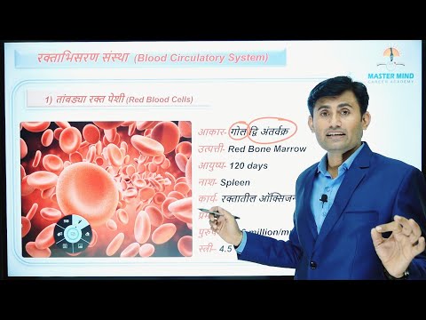 रक्ताभिसरण संस्था - प्रा. अमोल सायंबर | Blood circulatory System - Prof. Amol Sayambar