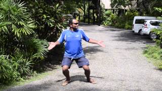 Jean-Michel Cousteau Resort Staff Party Video