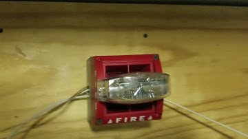 System Test 1 - System Sensor MASS (Loud!)