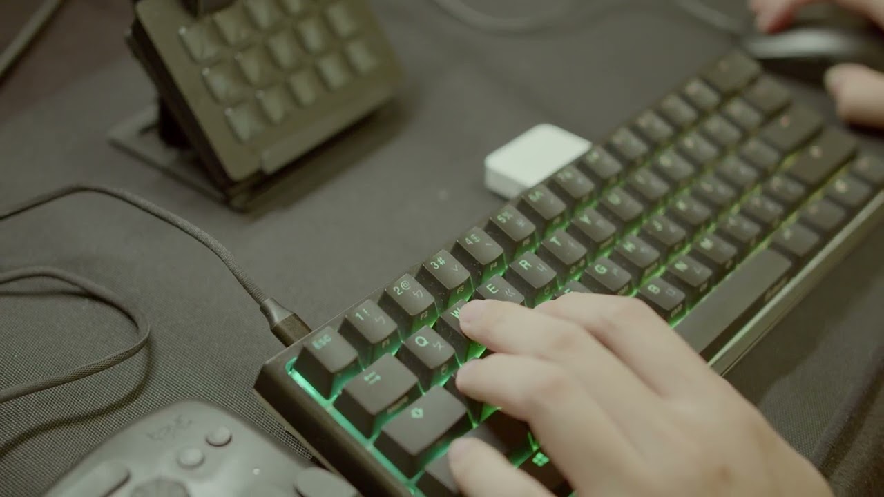 Rhythmic Delights Ducks Grooving with Smooth Keyboard 3