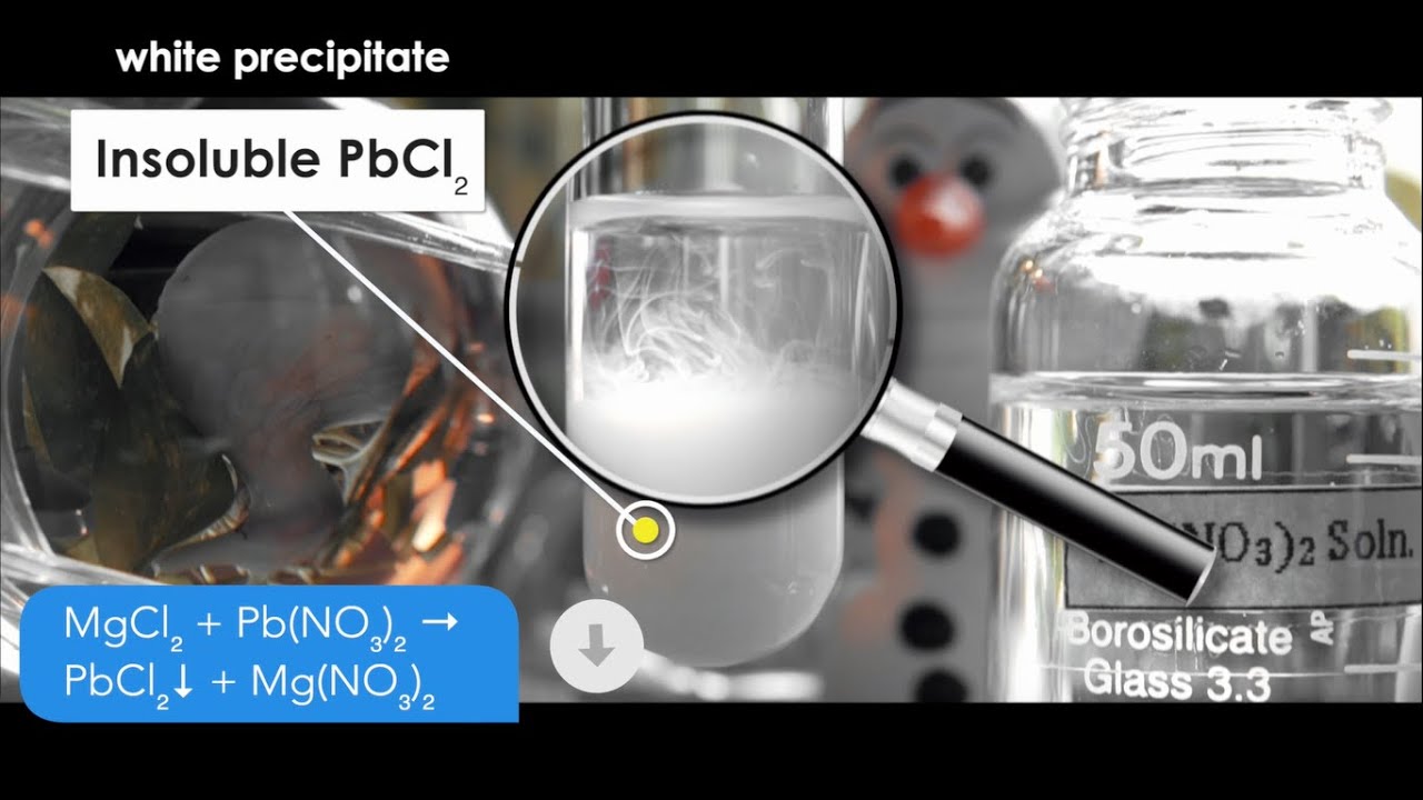 Does Lead nitrate (Pb(NO3)2) and Magnesium chloride (MgCl2) form a precipitate? MgCl2+Pb(NO3)2