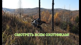 ВЫСТРЕЛ НА 334м. Охота на косулю. ОТКРЫТИЕ ЗИМНЕГО СЕЗОНА! ВСЕМ УДАЧИ!