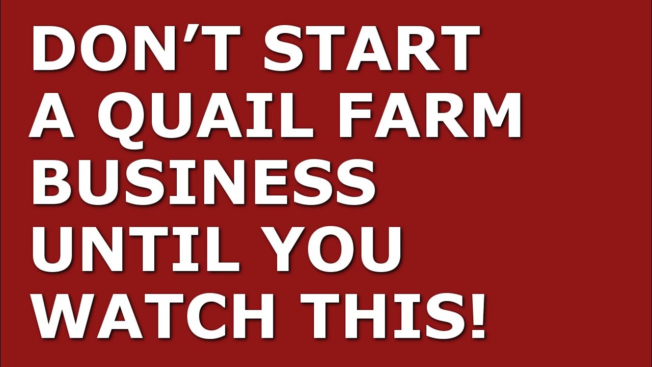 How to Start a Quail Farm Business Free Quail Farm Business Plan