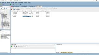 ORACLE PL SQL Cursores Variables 001