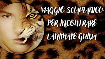 Come si fa a conoscere il proprio animale totem?