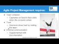 Can virtual teams do agile project management