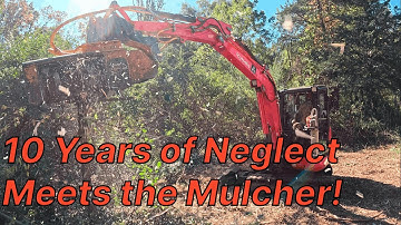 This Yard Was Lost for 10 Years — The Cleanup Begins