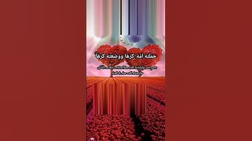 تلاوة نادره #حالات واتس # قرآن