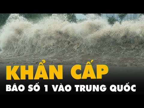 Video: Máy tự động trước kỷ nguyên mới