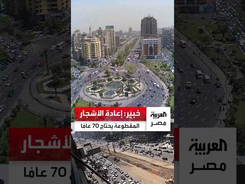 بعد انتقادات عمليات إزالة الأشجار.. خبير: إعادة الأشجار المقطوعة يحتاج 70 عامًا