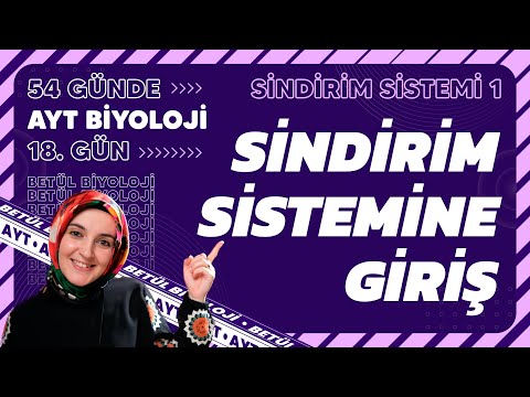 18) Sindirim Sistemi ve Sindirim Kanalı | Sindirim Sistemi | 11. Sınıf Biyoloji | AYT Kampı 18. Gün