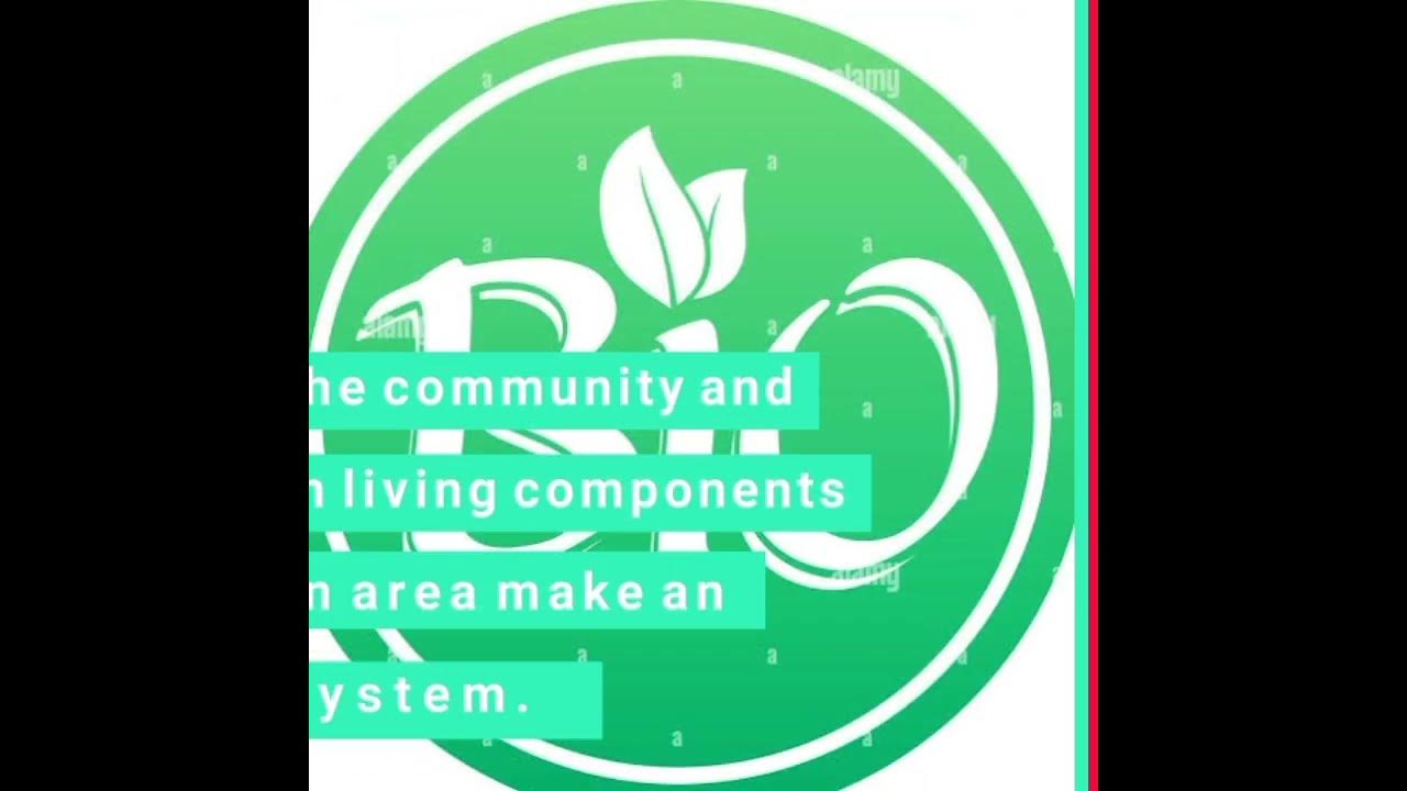 what-is-an-ecosystem-biology-science-ecosystem-youtube