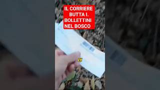 Bosco Deturpato Da Corriere Brt Shorts