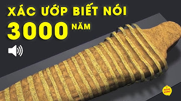 Xác ướp được tạo ra thế nào? Tại sao xác ướp 3000 năm tuổi có thể phát âm được? Khai Sáng TV