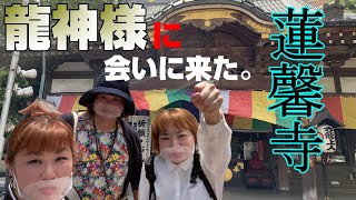 龍神様の写真は撮れるのか⁉️【スピリチュアル パシンペロンはやぶさ】【蓮馨寺】 龍神様の写真は撮れるのか⁉️【スピリチュアル パシンペロンはやぶさ】【蓮馨寺】
