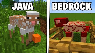 ¡JAVA vs BEDROCK! +25 Diferencias que no Sabias! - Vandel [17]