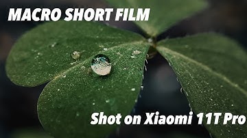 The World of Macro | Xiaomi 11T Pro cinematic Short Film