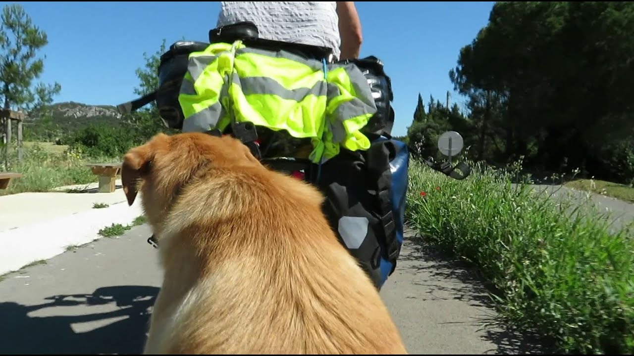 🐕🚲🌿 Voyage en Vélo avec mon Chien 1/6