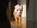 予想外の行動にびっくり!?猫のおもしろハプニング6連発 #funnyanimals #猫shorts #funnycats