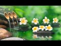 Relaxing Music || Calm Music, Yoga, Relaxing Sleep Meditation, Spa, Study Music, Nature Sounds