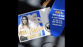 IBUKI+Cocolo Number  | GOLD | 2024.3/28 | @majordancestudio