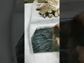 Agroblacharka 2