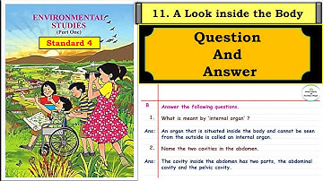 A Look Inside the Body | std 4 | lesson 11 | Question Answers | EVS Part 1 | Maharashtra State Board