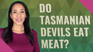 Are Tasmanian devils carnivores?