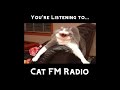 Cat fm radio 10 hours