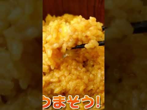 卵かけご飯2023 6 27 TORU HikakinTV Vlog Hikakin ヒカキン 切り抜き
