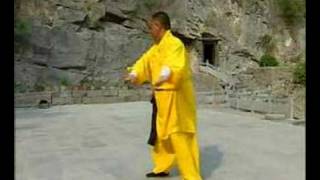 Shaolin Chan Yuan Gong 少林 禪圓功 or 禅圜功